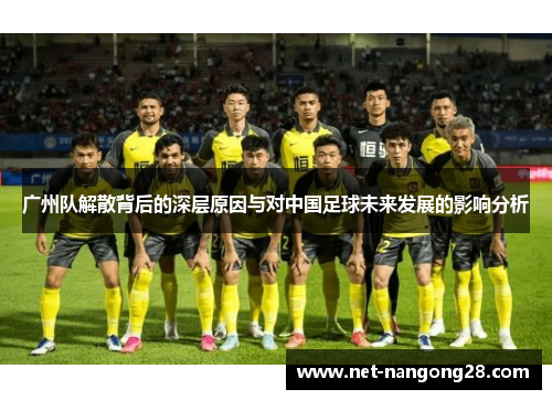 广州队解散背后的深层原因与对中国足球未来发展的影响分析
