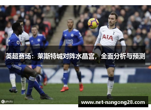 英超赛场：莱斯特城对阵水晶宫，全面分析与预测